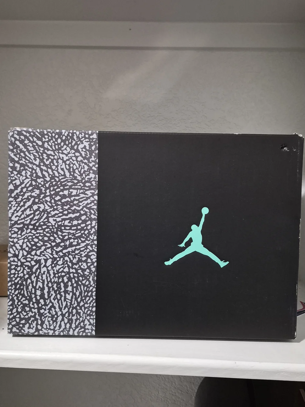 Air Jordan Retro 3 Black/Light Mint Elephant Print